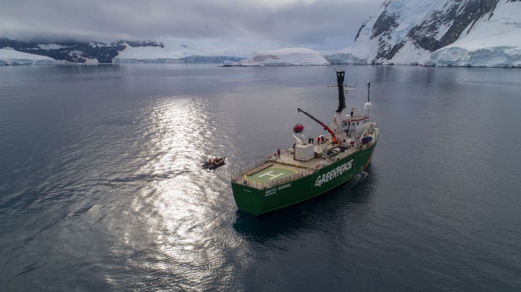 Antarktisz Submarine being launched from Greenpeace ship Aerial view from UAV Antarctic Brabant Island Day Greenpeace ships KWCI (GPI) MY Arctic Sunrise Oceans (topography) Outdoors Palmer Archipelago Protect the Antarctic (campaign title) 