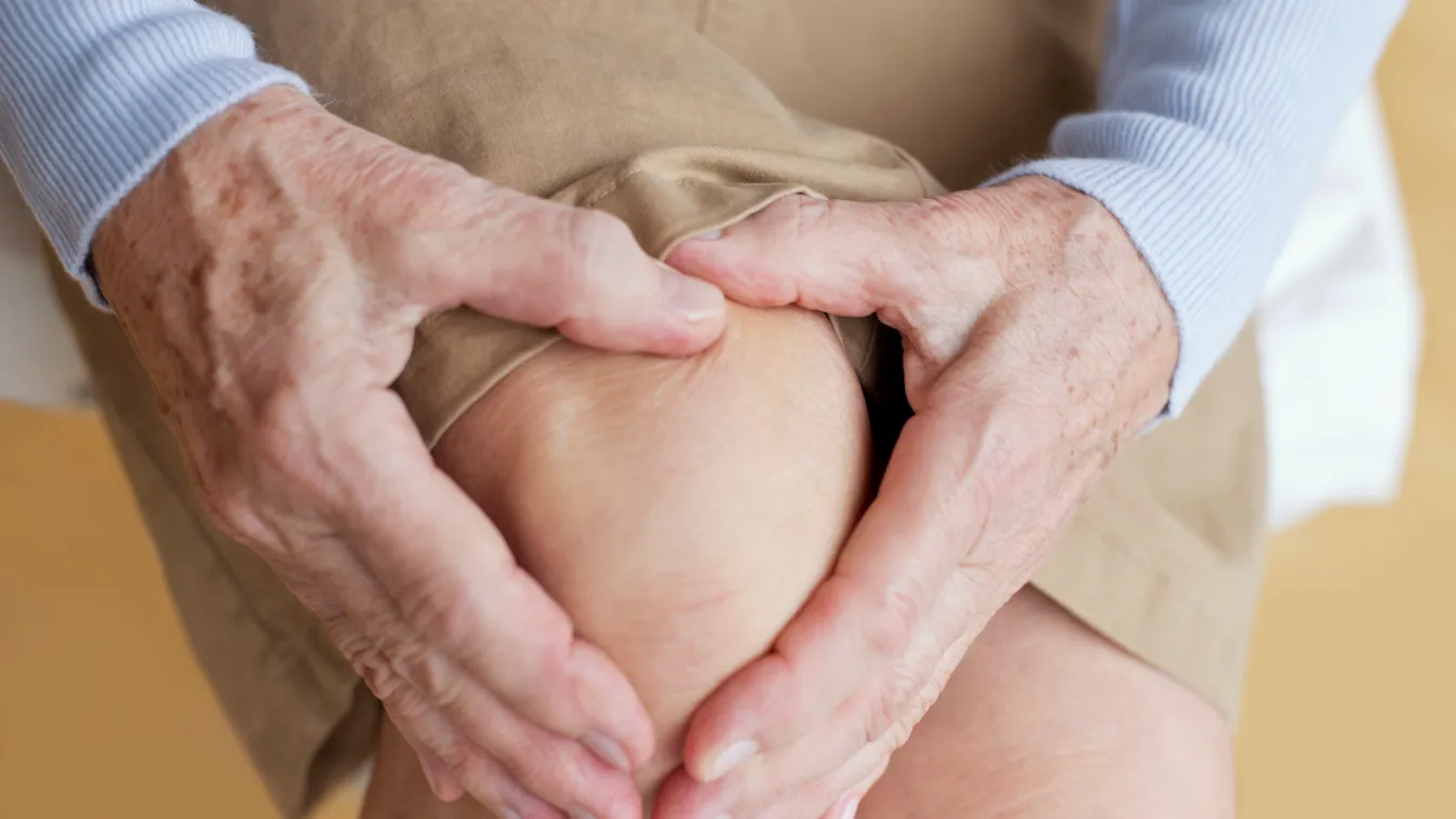 Az idősebb nők csaknem fele szenved csontritkulástól Senior woman holding sore knee 70-74 YEARS 70S ACHE ADULT AGEING AGING ARTHRITIC ARTHRITIS CAUCASIAN APPEARANCE CLOSE UP DAY DISCOMFORT FEMALE FRONT VIEW HAND HEALTHCARE ILLNESS INDOORS KNEE 
