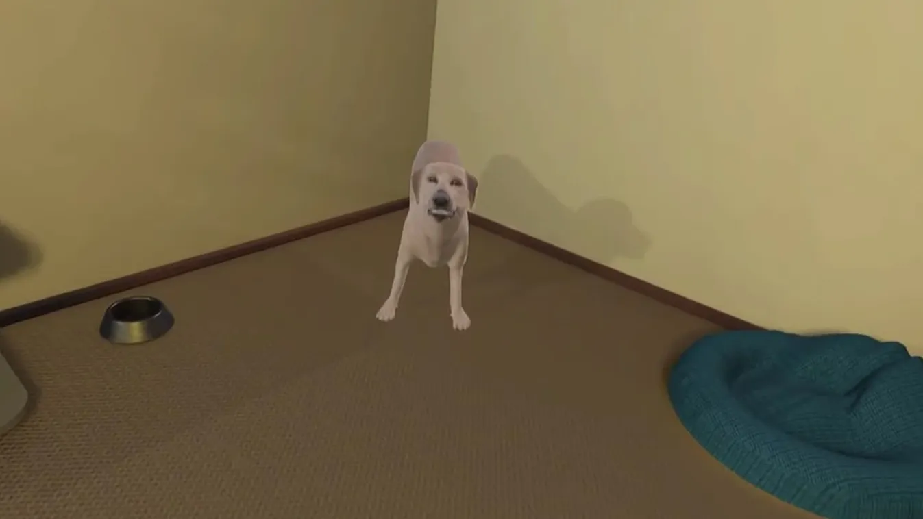 kutyatámadás harapás vr virtuális valóság 