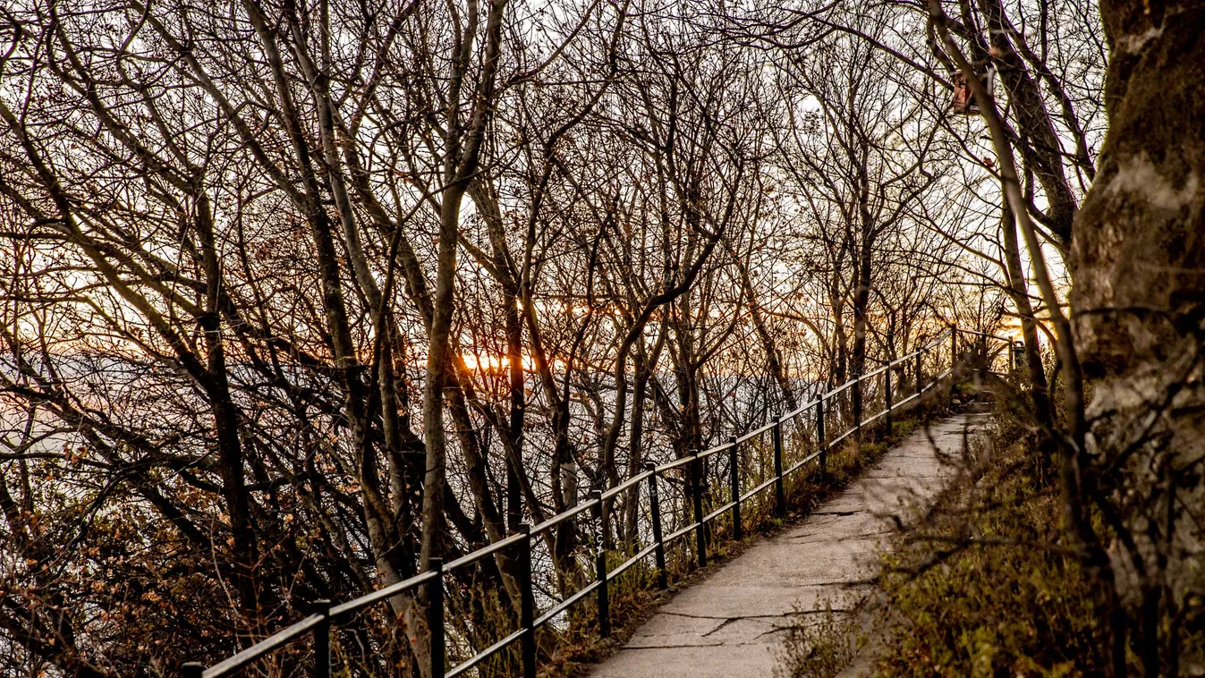 napfelkelte, Gellért-hegy, Budapest, nap, fények, reggel, tél 