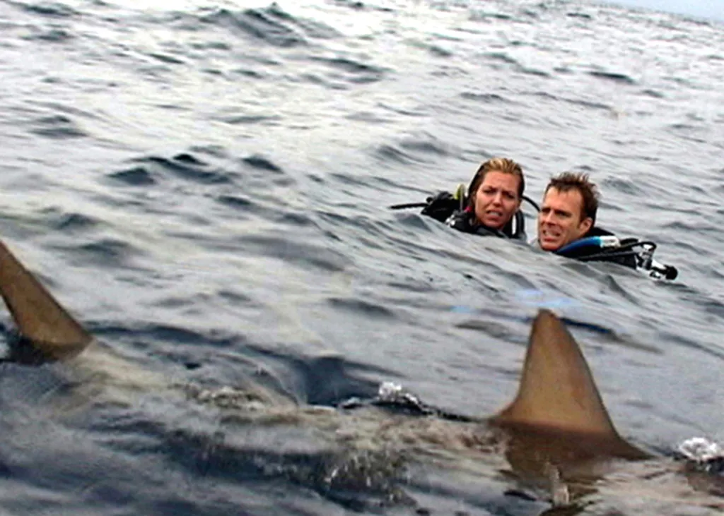 Open Water, Open Water 2003, film, filmjelenet, cápás jelenet,  Nyílt tengeren 