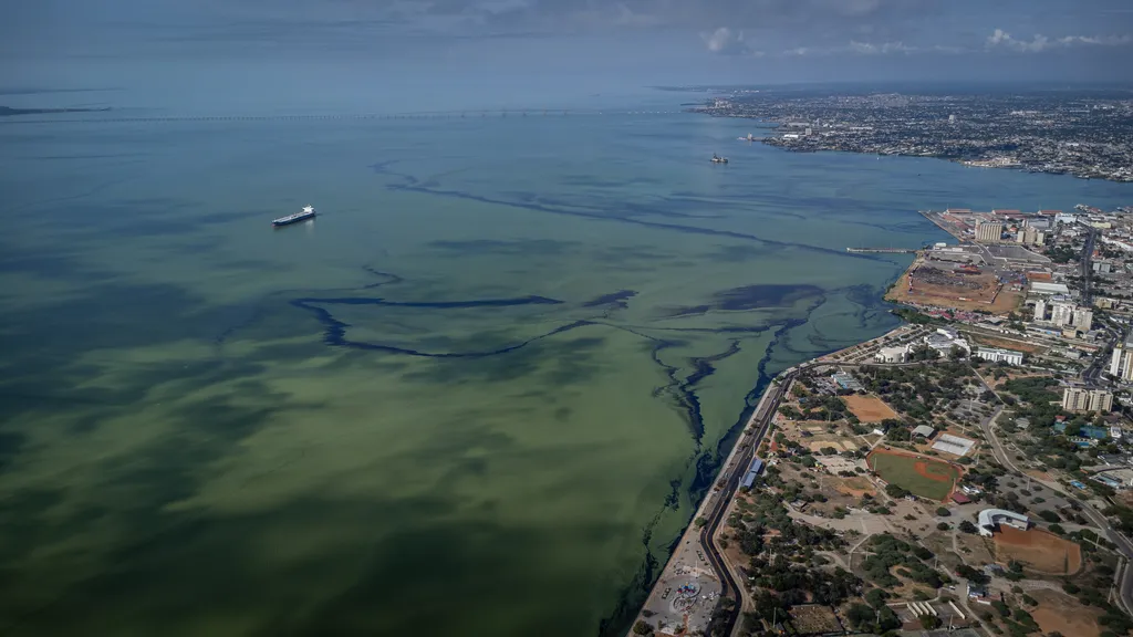 olaj, szennyezés, vízszennyezés, élővilág, Venezuela, Maracaibo, La Vereda tó, 2023. 06. 21. 