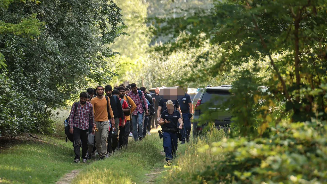 Migránsok csoportját fogják el határőrök és rendőrök Ásotthalom külterületén, a Makkoshetesi erdő magyar oldalán 2022 július 2-án., migráns csoport, rendőrség, illegális határátkelők, határőrség, rendészet 