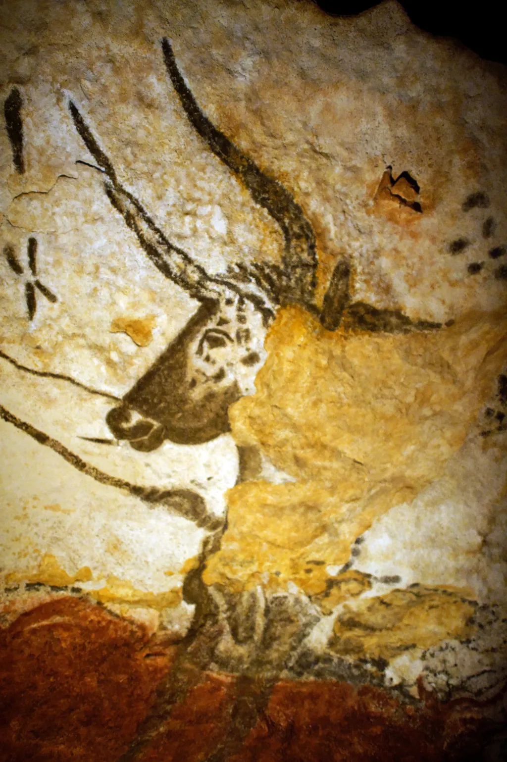 - Vertical ARCHAEOLOGY AND HISTORY PREHISTORIC ARCHAEOLOGY PREHISTORY CAVE LASCAUX CAVES ILLUSTRATION COMMEMORATION 