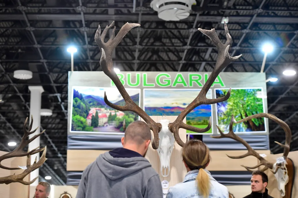 Vadászati Világkiállítás 2021, HUNGEXPO 