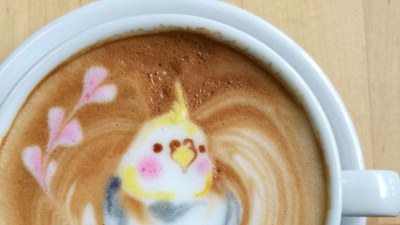 papagáj latte art 