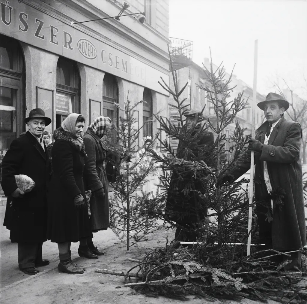 Karácsonyi fortepán, Krisztina körút 7. (Csaba utca sarok) a Széll Kálmán (Moszkva) tér felé nézve.
ÉV
1953 