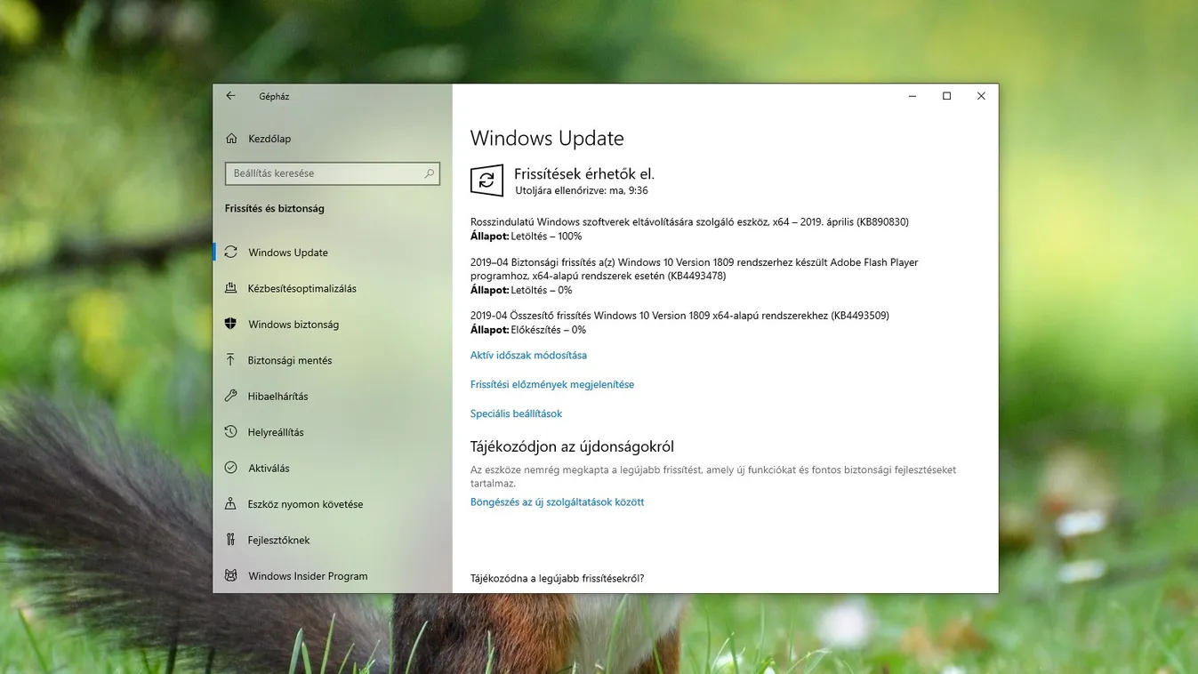 windows update 