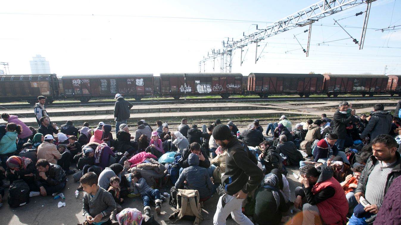 Menekültáradat, migráns, 
Szerbia , Sid vasutállomás
Fotó:Dudás Szabolcs 