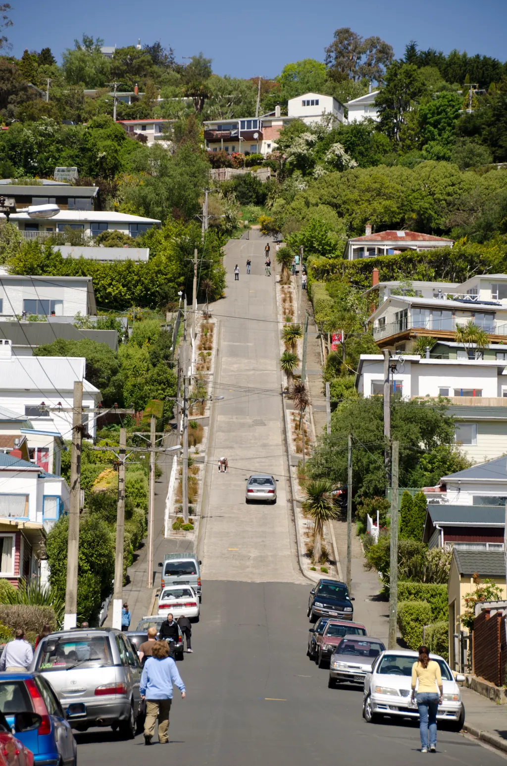 Baldwin Street Dunedin 