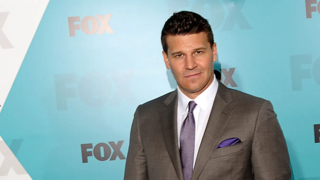 David Boreanaz, amerikai színész