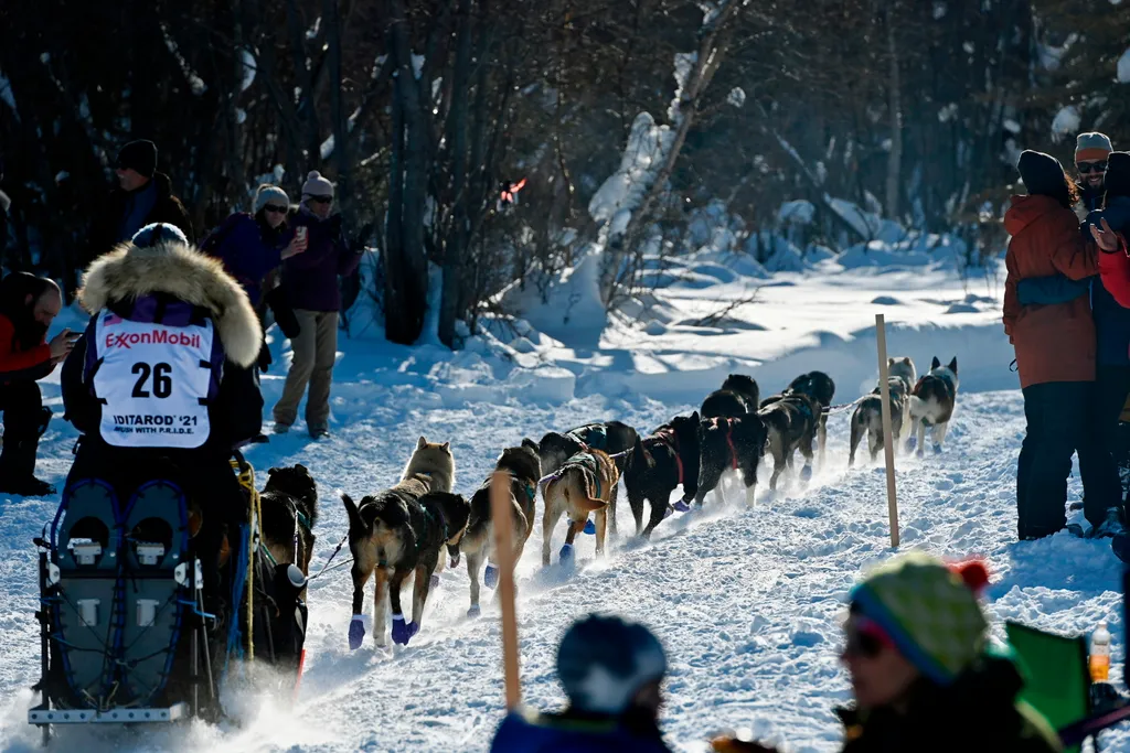 Willow, 2021. március 8.
Michelle Phillips rajtol csapatával az Iditarod amerikai kutyaszánverseny kezdetén az alaszkai Willowtól északra 2021. március 7-én.
MTI/AP/Anchorage Daily News/Marc Lester 