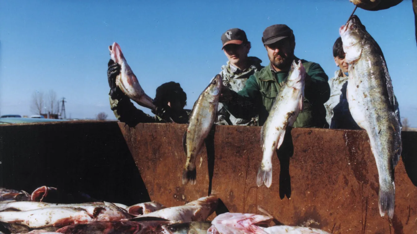 hal haltetemek Férfiak munkában Kisköre, 2000. február 7.
Folytatódik a védekezés a Tisza tavon.
A Tiszán levonuló cianid szennyeződés csökkentésében fontos szerep hárul a Tisza  tóra és a kiskörei víztározóra. A KÖTIVIZIG szakemberei együttműködve a te 