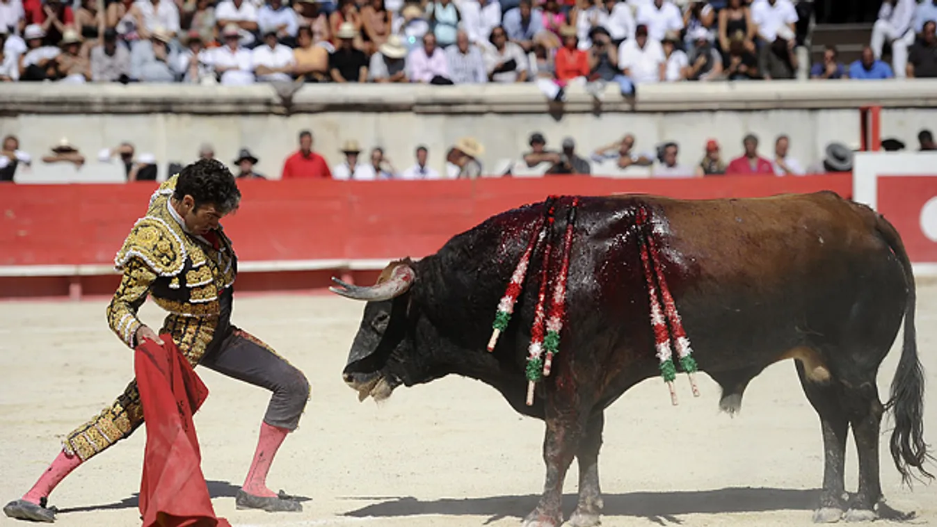 bikaviadal, dél-franciaország, spanyol matador Jose Tomas 