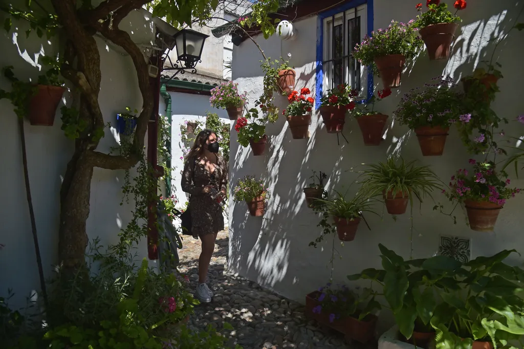 Cordoba Patios Festival Córdoba udavarfesztivál virágok 