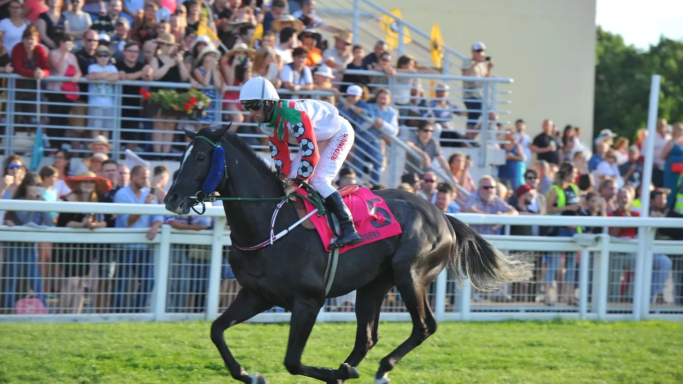 Magyar Derby Kincsem Park 