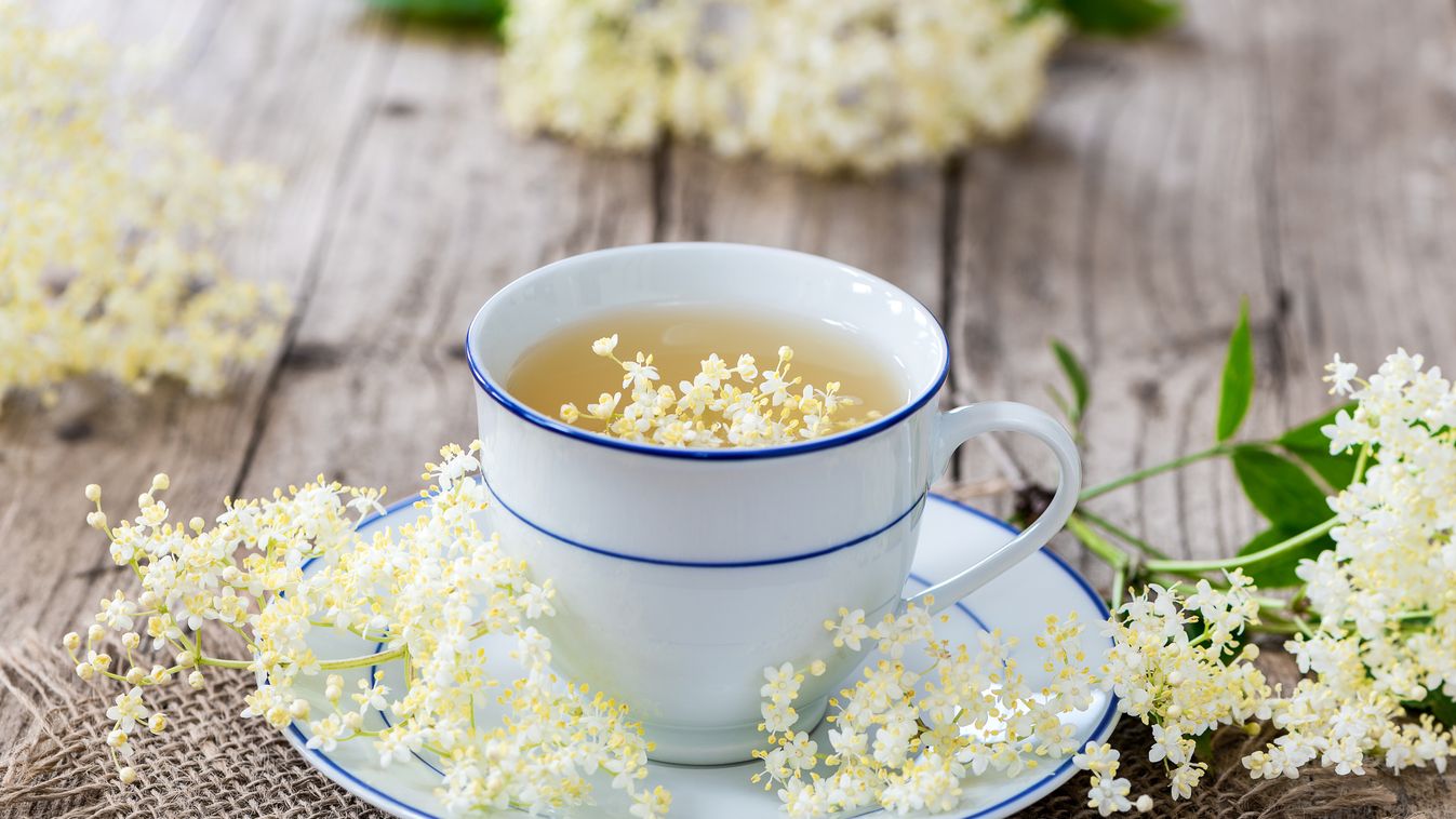 bodza tea Gyógyteák, amik nyáron is jólesnek és jót tesznek 