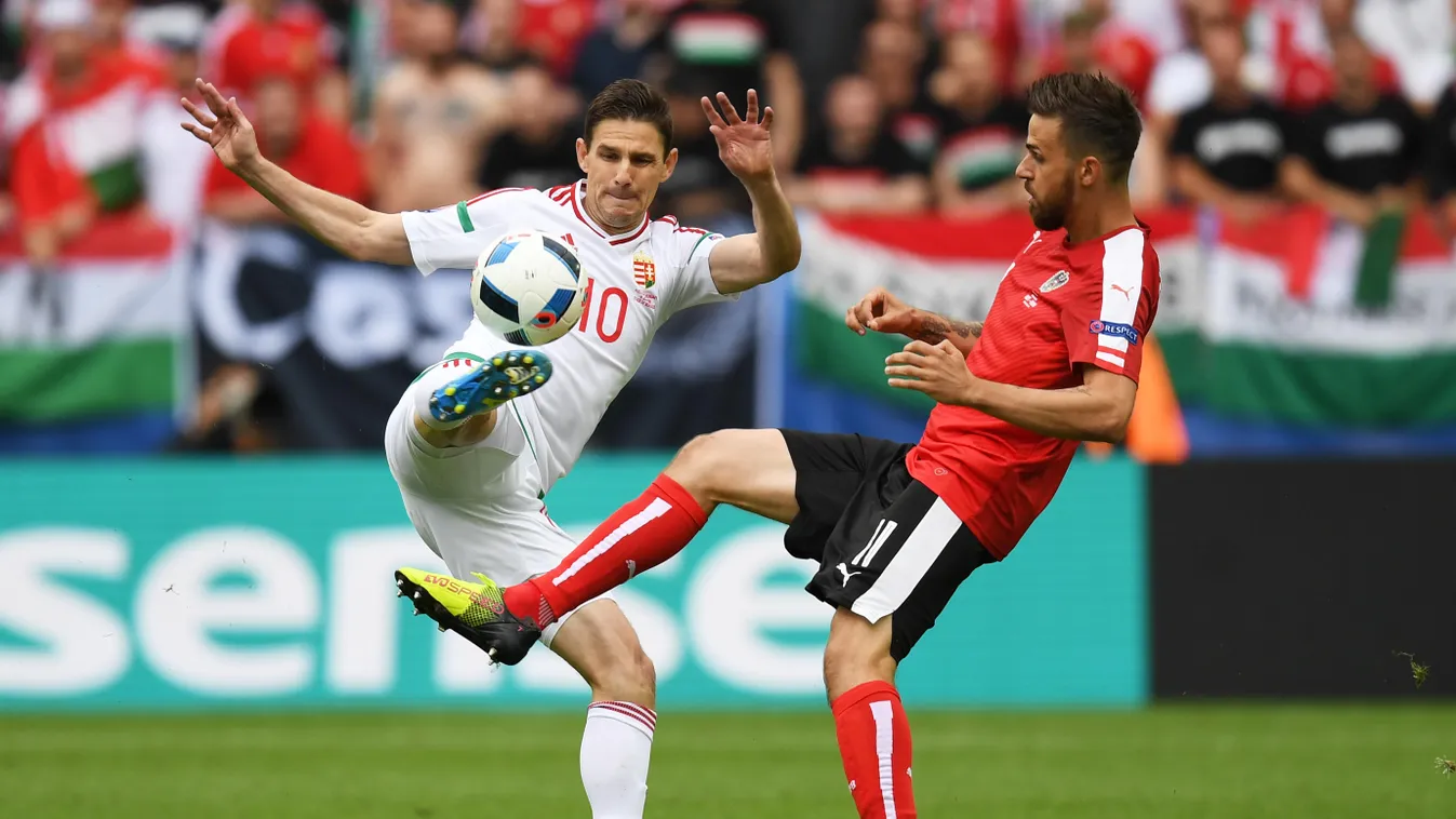 Gera Zoltán Austria v Hungary - Group F: UEFA Euro 2016 European Championship during the UEFA EURO 2016 Group F match between Austria and Hungary at Stade Matmut Atlantique on June 14, 2016 in Bordeaux, France. 
