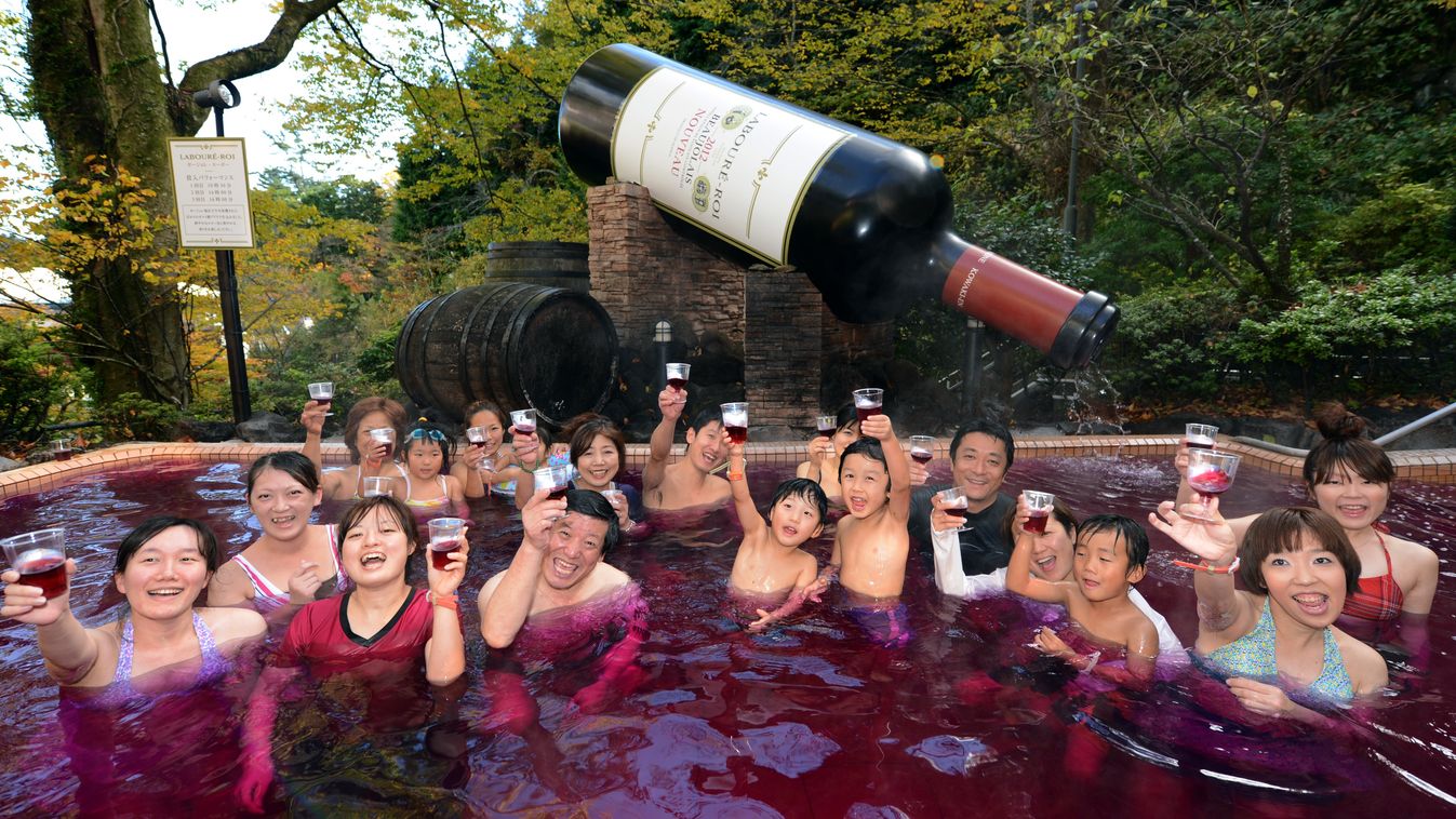 japán bor medence spa 