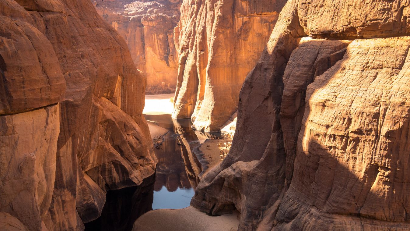 Guelta d'Archei 