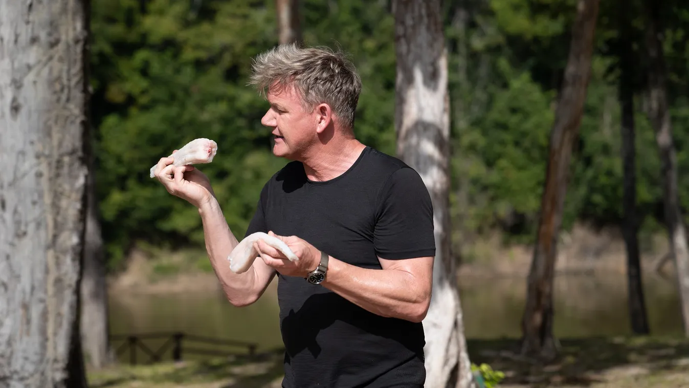 84648 Rewa, Guyana - Gordon Ramsay holding caiman tail during the big cook. (Credit: National Geographic/Justin Mandel) 