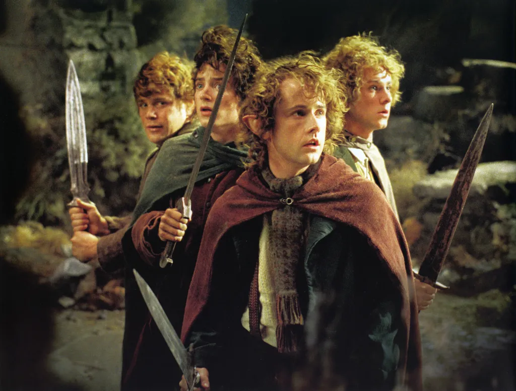 The Lord of the Rings : The Fellowship of the Ring Cinema men hobbit cloak fantasy Horizontal MAN SWORD 