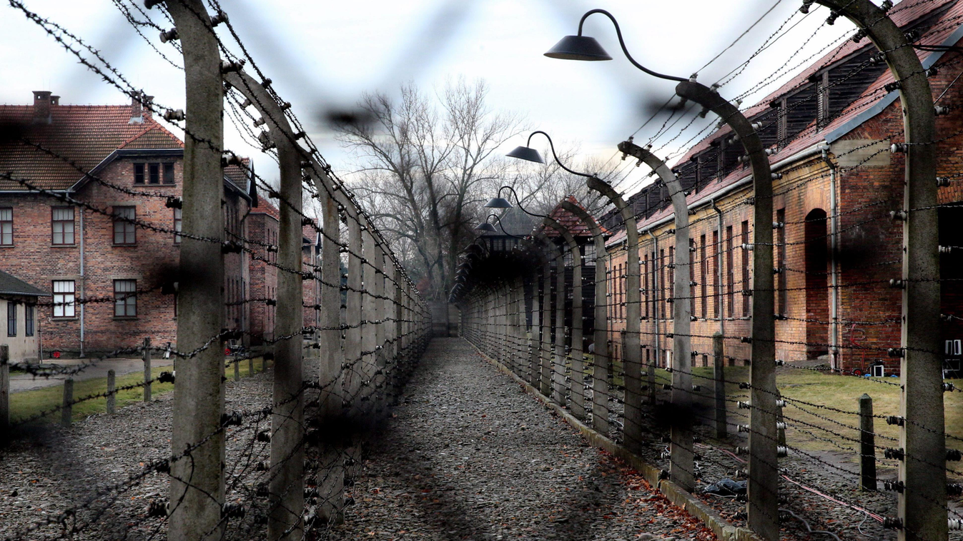 holokauszttagadás, holokauszt nemzetközi emléknap 