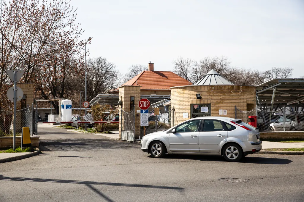 MGE Bűvös Szakács Jótékonysági főzés felajánlás maszk étel szállítás Az MGE és a Bűvös szakács kezdeményezésére jótékonysági főzés indult a Haris parkban 