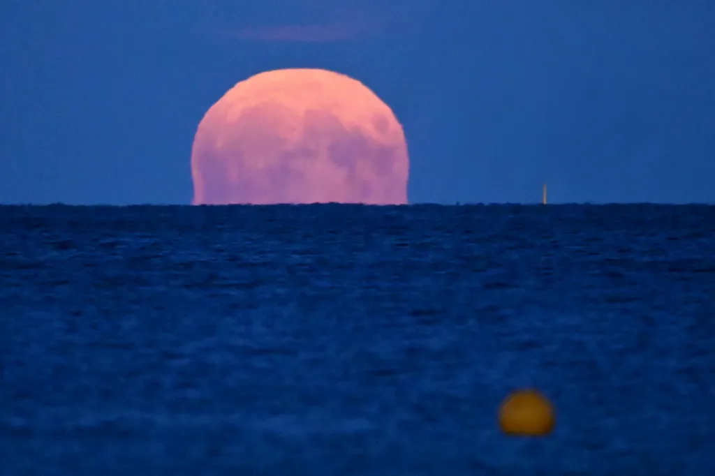 szuperhold, hold,   Supermoon in Copenhagen Buck Moon,copanhagen,Dawn,Nature,Night,Øresund Strait,phase,sea Horizontal 