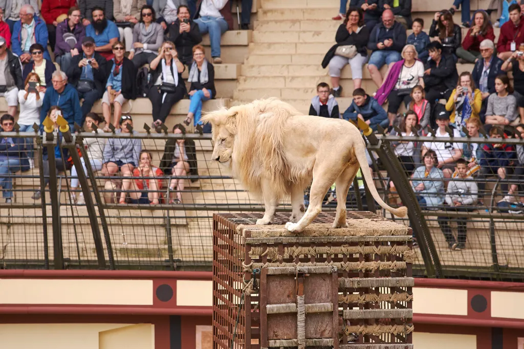 Le Puy du Fou szórakoztatópark Les Epesses 