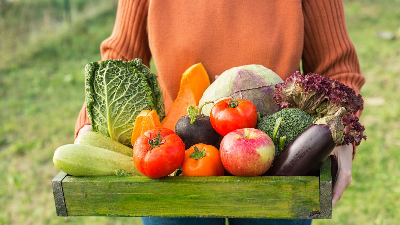 Zöldségek Trend Pattanások felnőttkorban - Tegyél ellene! 