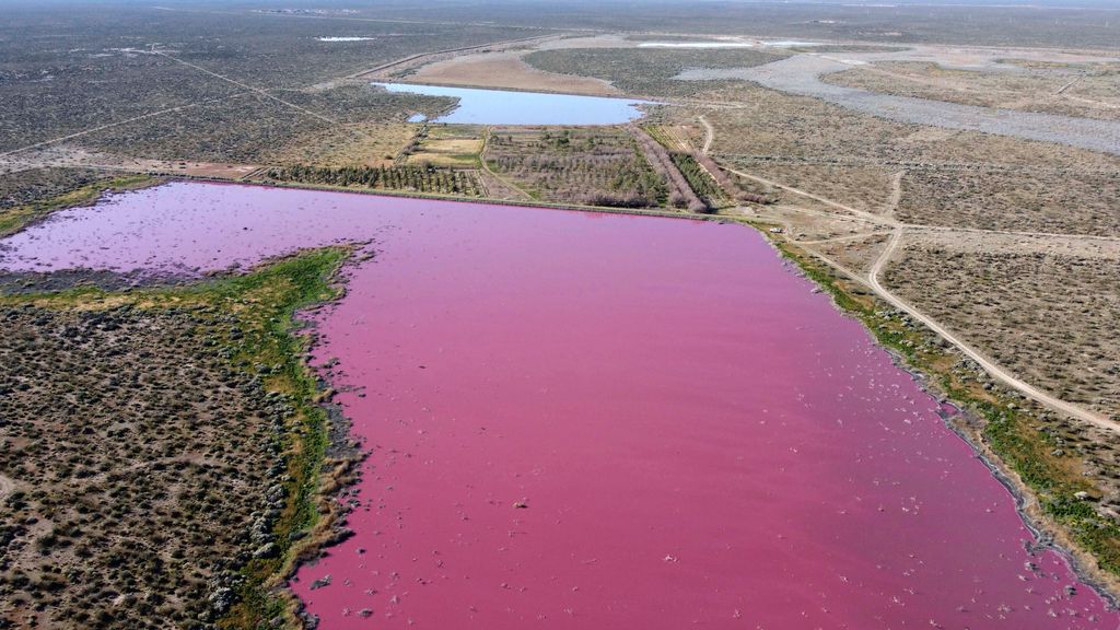 Trelew, 2021. július 30.
Légi felvétel a rózsaszínné változott Corfo lagúnáról Argentína déli részén, Chubut tartományban 2021. július 29-án. A szakértők szerint a jelenség hátterében ipari szennyezés áll. A bizarr színt a nátrium-szulfit adja, a vegyület