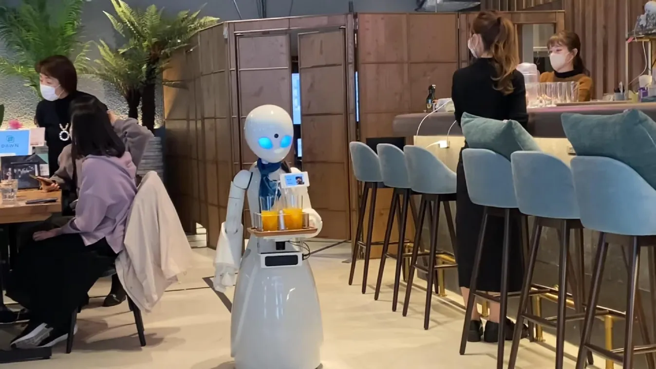 robotpincér, Dawn Avatar Robot Café 
