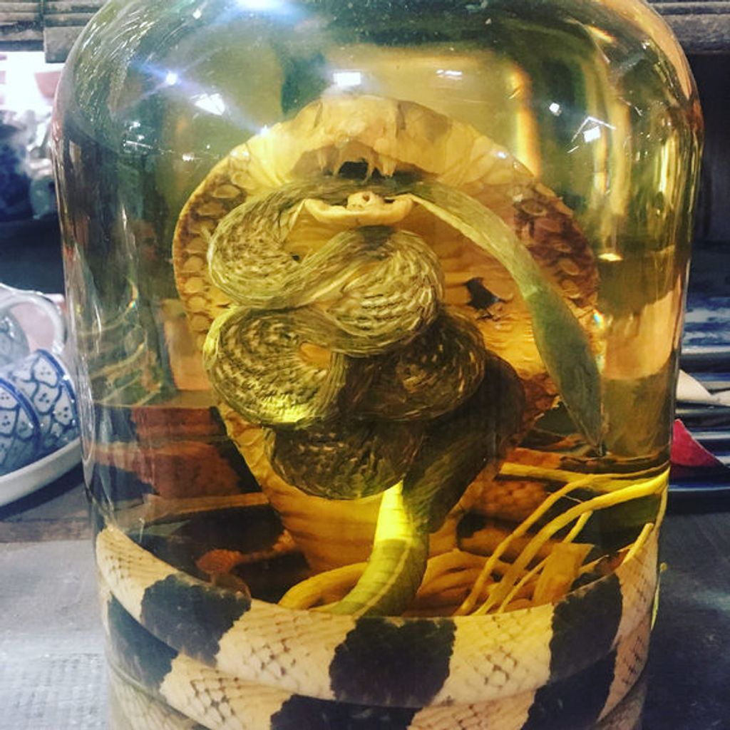 kígyóbor 