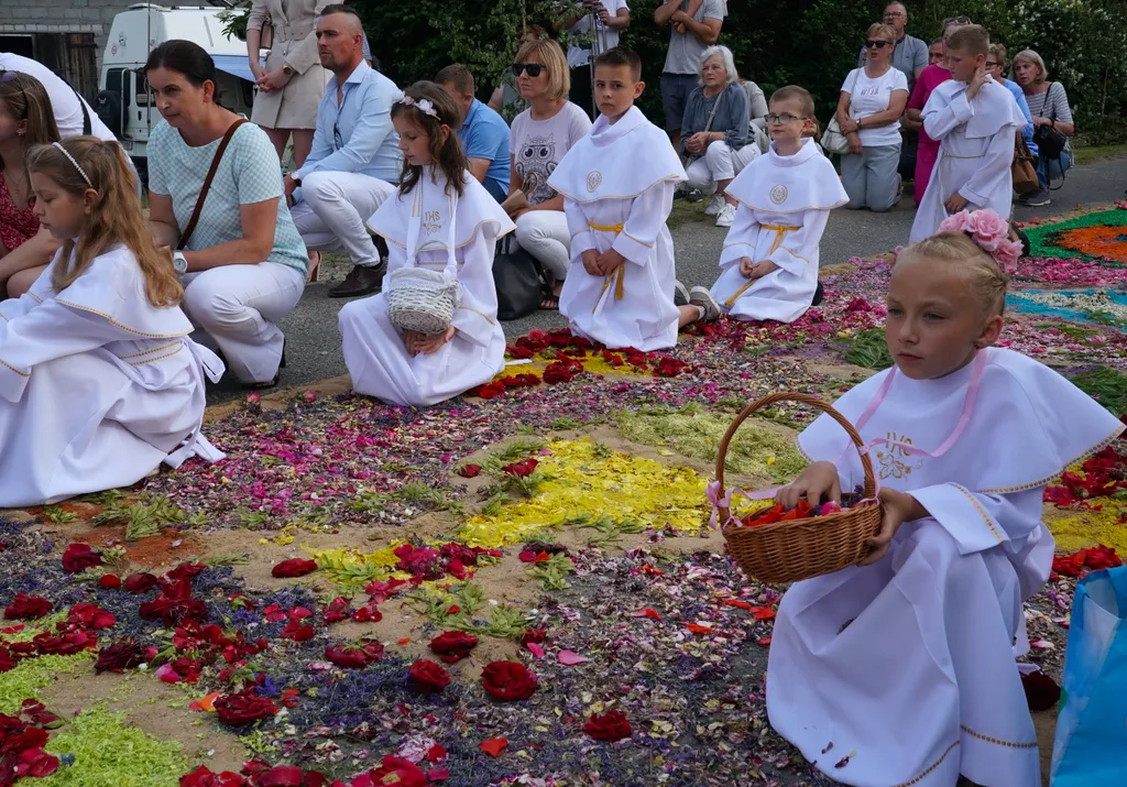 Corpus Christi vallásos körmenet alkalmából virágszőnyeget terítenek le Spycimierzben, Lengyelországban, vallás, kereszténység, felvonulás, virág, virágszirom, ünnep, ünneplés, vallási ünnep 