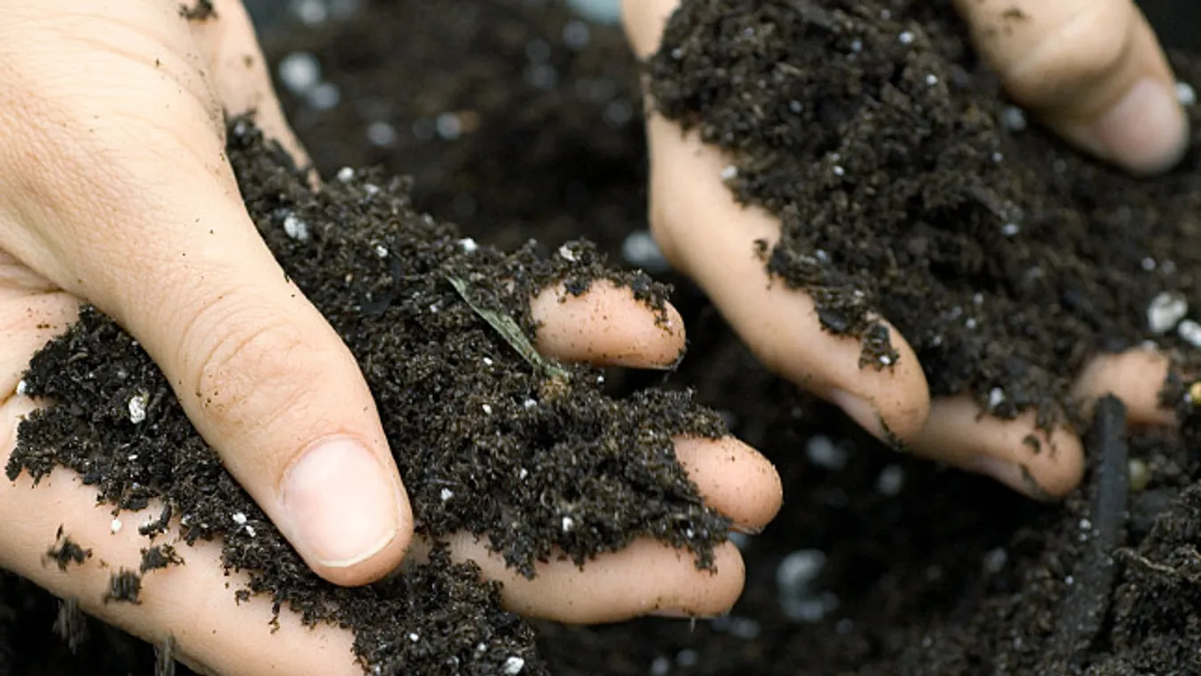 Csökkentheti az aszálykárokat a több termőföld - állítja az Agro.bio Kft. 