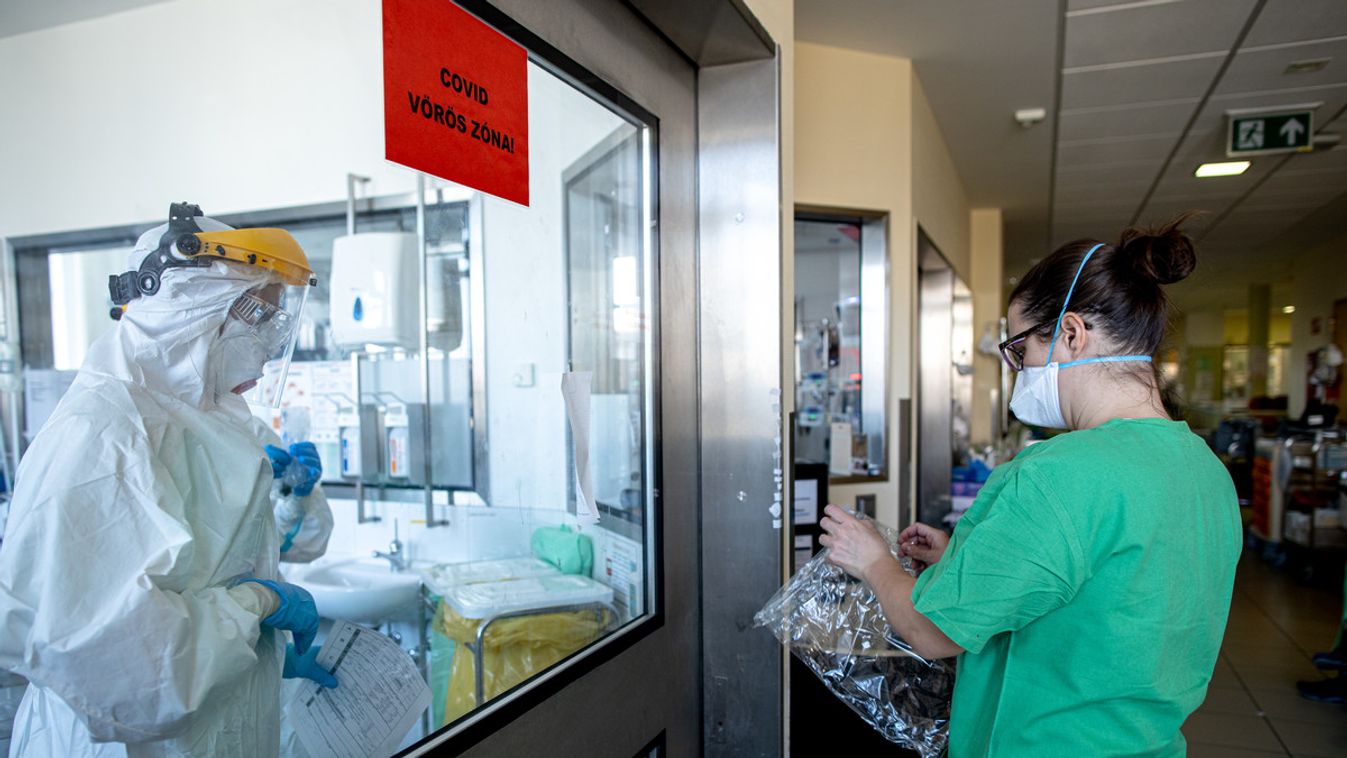 A Semmelweis Egyetem Aneszteziológiai és Intenzív Terápiás Klinikájának (AITK) sárga és vörös zónája
koronavírus korona vírus covid covid-19 fertőzés járvány betegség kórház 