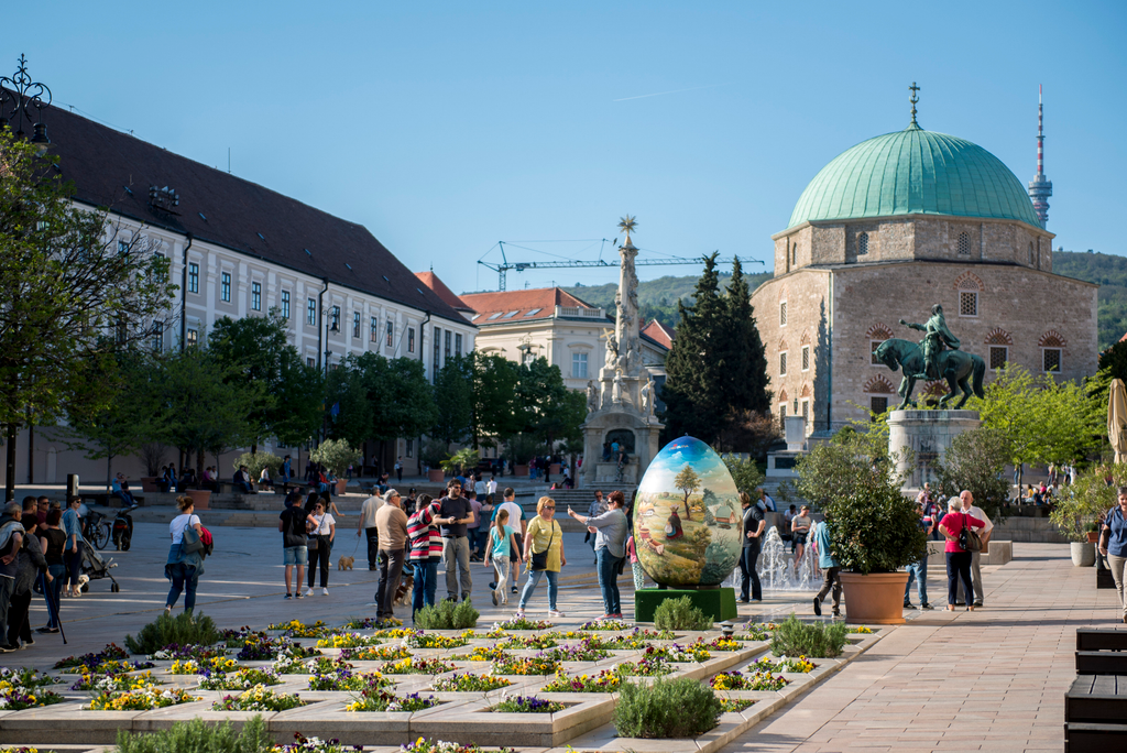 Ember nagyságú hímes tojás Pécs 2019 