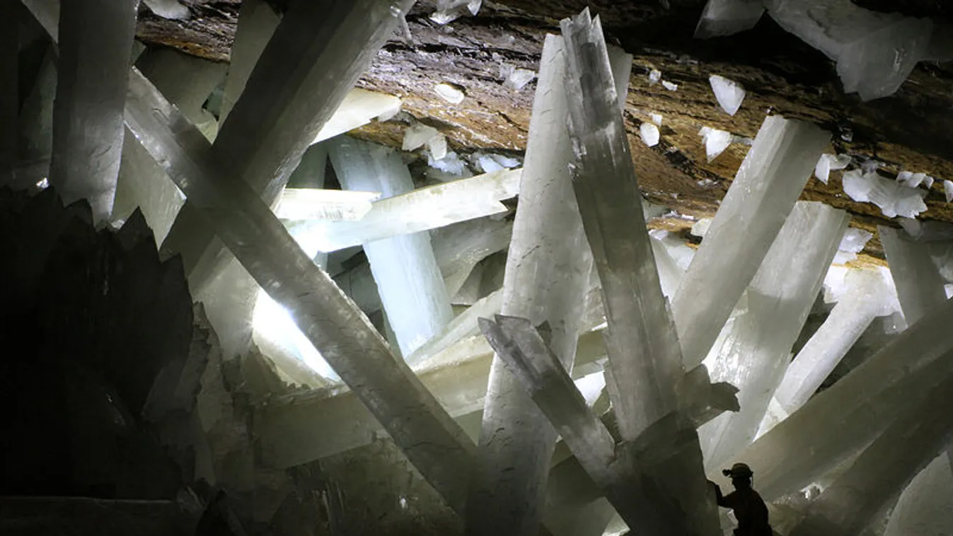 Naica, gipszkristályok, Cueva de los Cristales 
