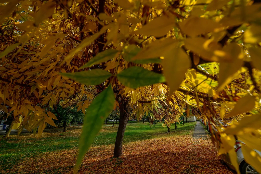 Debrecen, ősz 