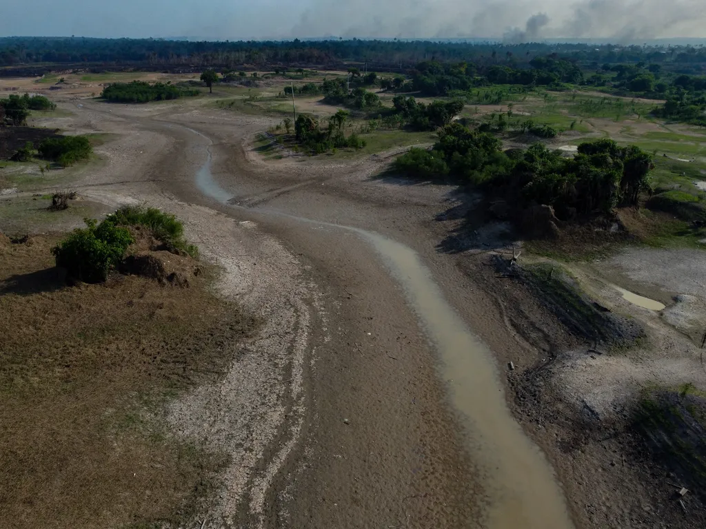 Aszály Brazília kiszáradt Rio Negro folyó environment forests drought Horizontal 