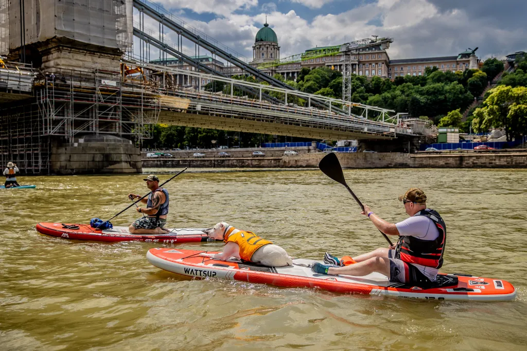 VII. Budapest SUP fesztivál, fesztivál, rendezvény, sup, Duna, Dunán, Budapest, evezés, evez, folyó, nyár, 2022 