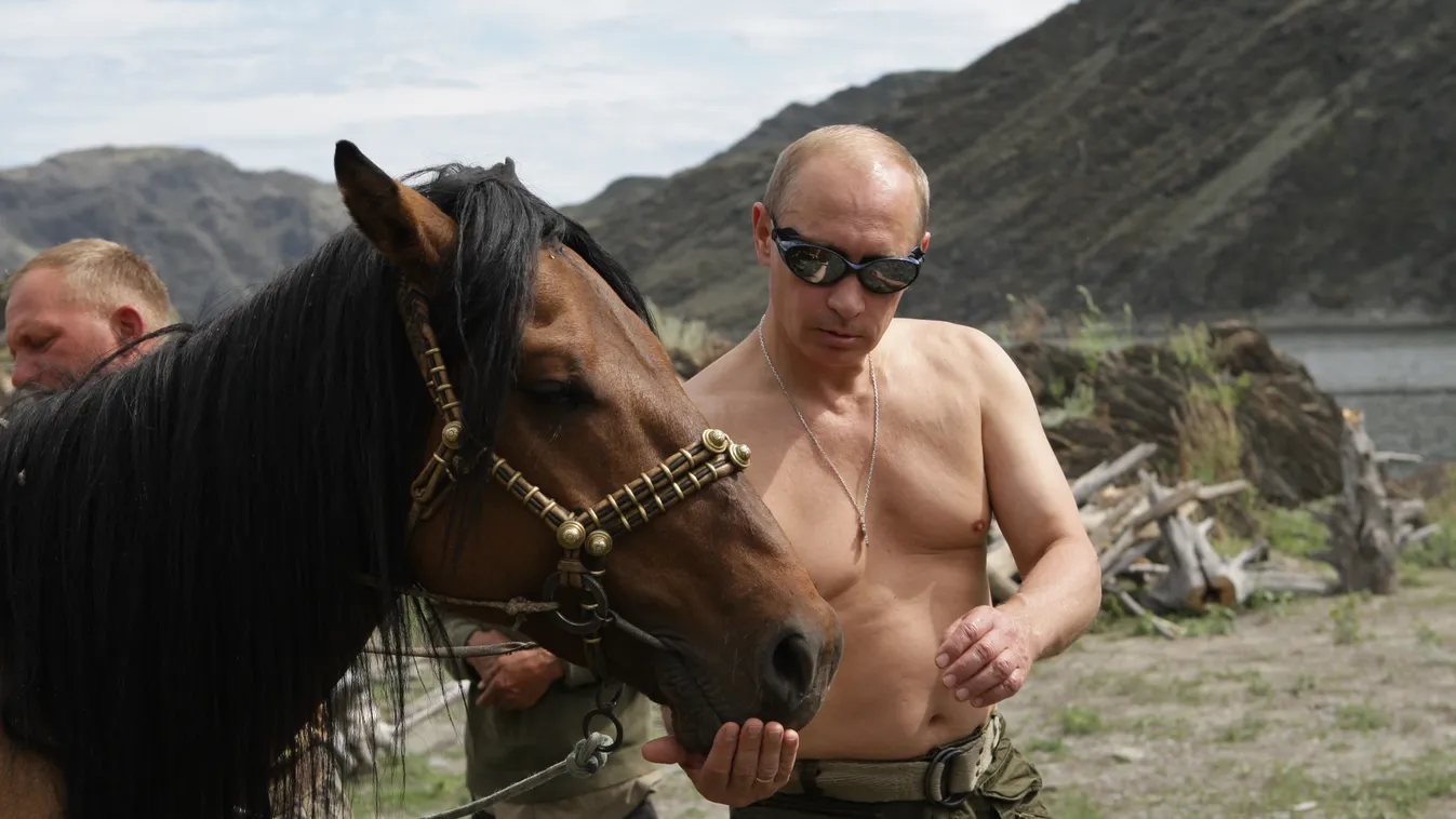 Putyin ló 