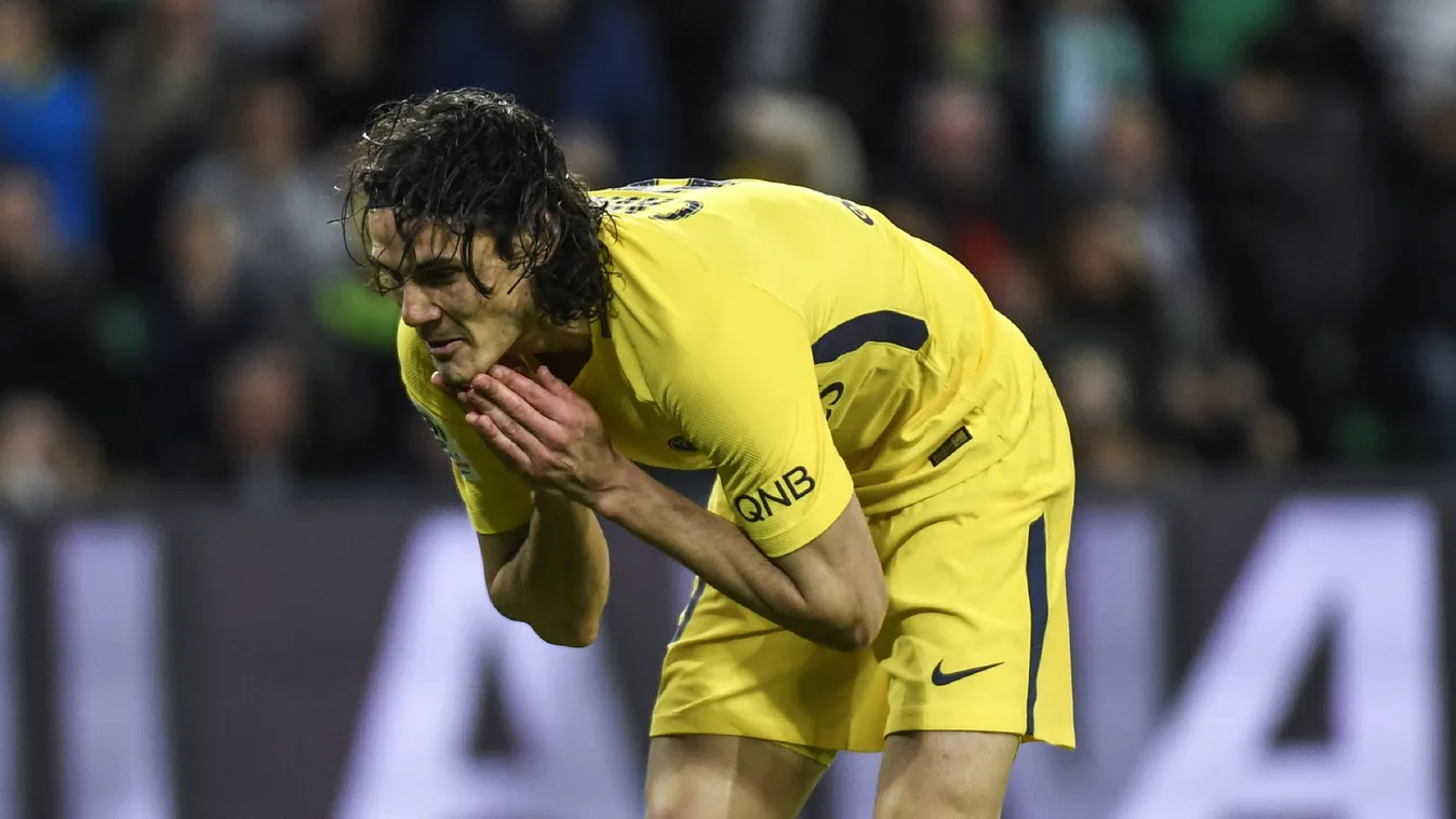 Edinson Cavani, PSG 