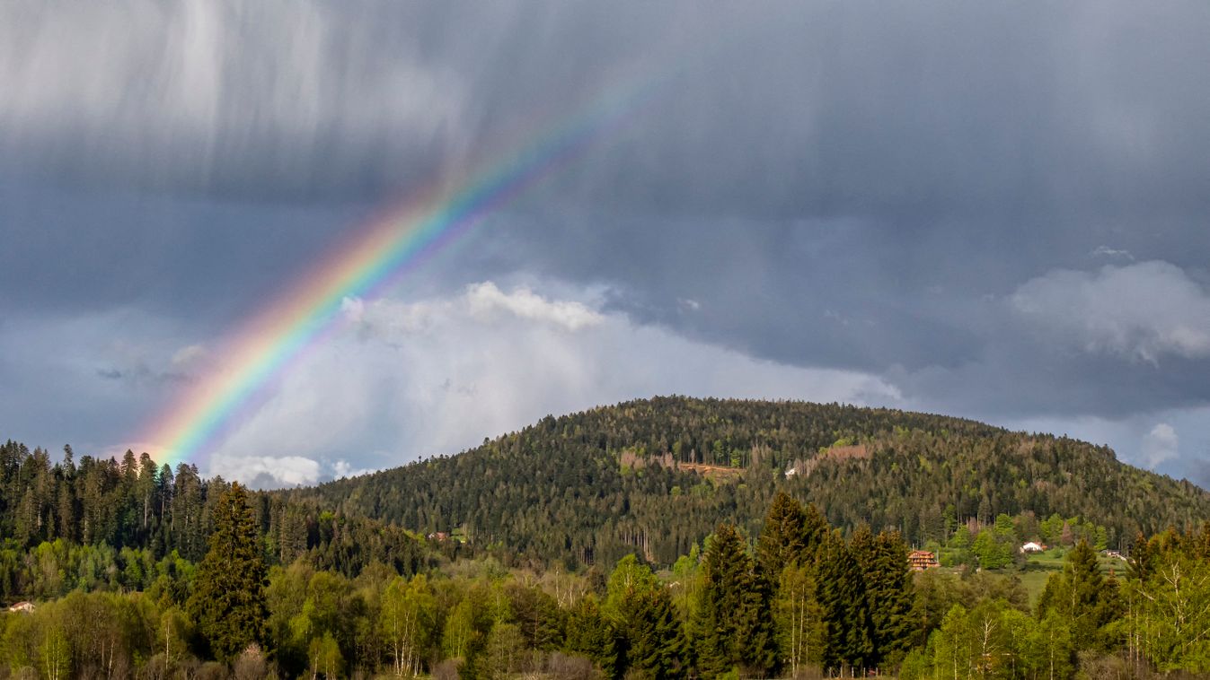 Vosges mountain landscape with rainbow in spring, Around Le Tholy, Vosges, France Spring Vosges (Mountain range) Meadow Temperate forest Vosges 88 May Nobody Landscapes Panorama Panoramas Mountains Rainbows Cloudy Clouds Showers Rains Sudden shower Sudden