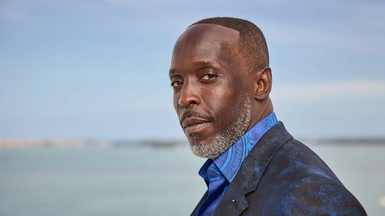 Michael K. Williams 