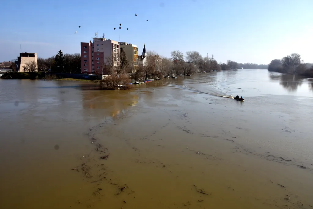 tisza, szolnok, áradás 