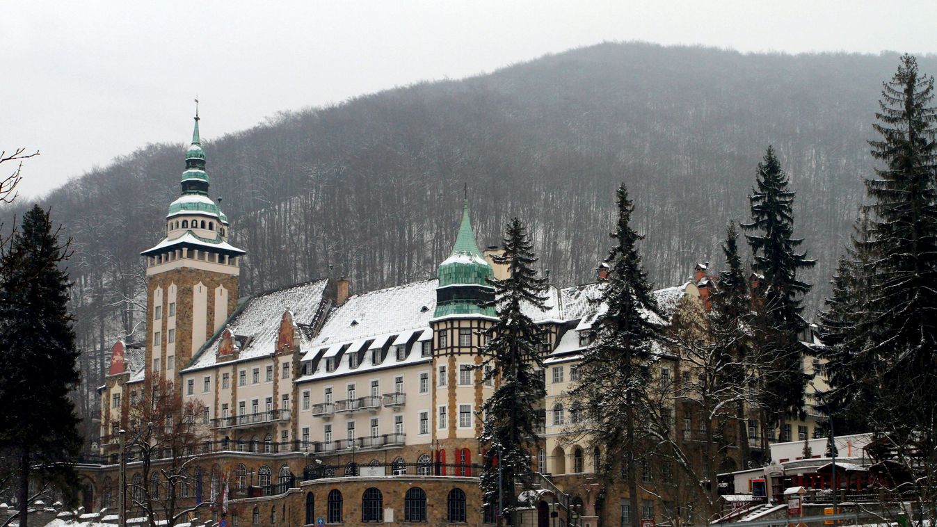 ÉPÜLET ÉVSZAK fa fenyőfa havas IDŐJÁRÁS kastély kopasz fa NÖVÉNY szálloda tél 