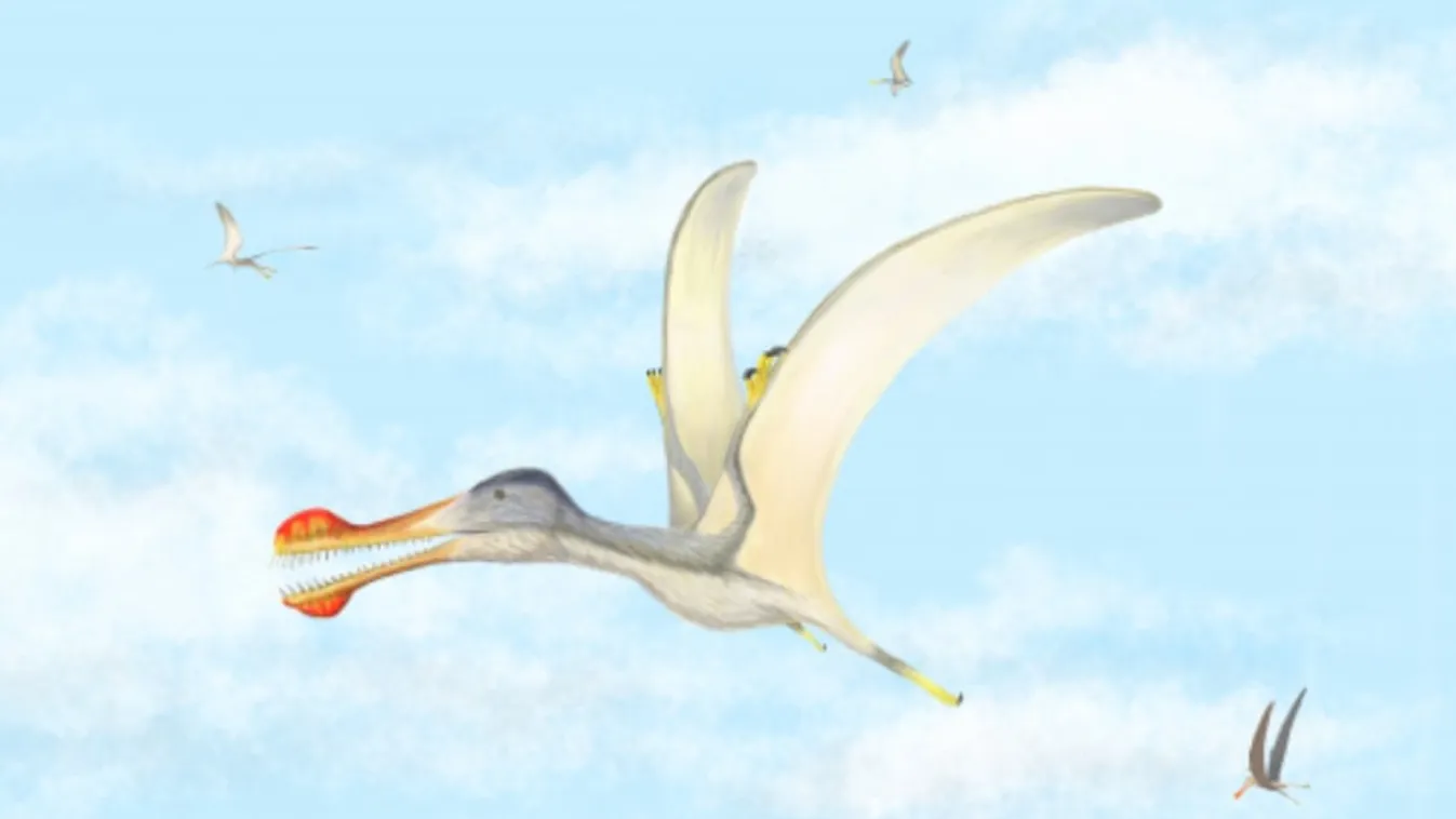 pteroszaurusz 