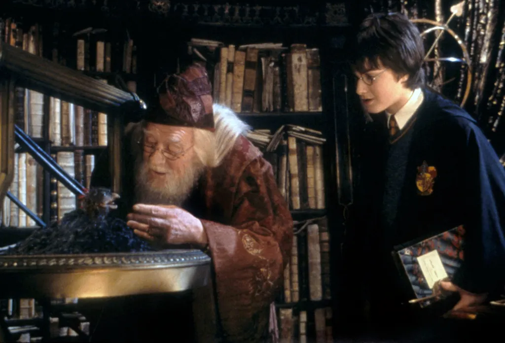 Harry Potter et la chambre des secrets phoenix phenix magicien magician Horizontal 